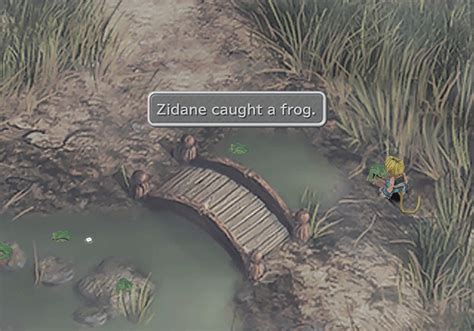 Frog Catching Side Quest Walkthrough .